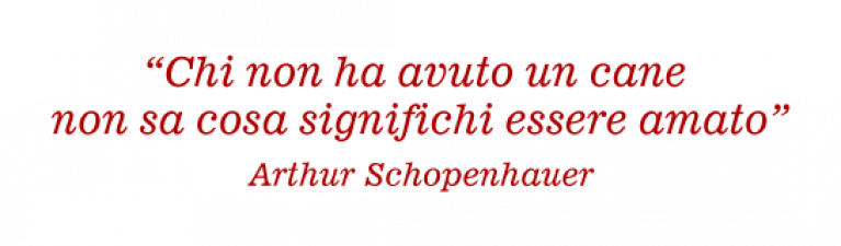 <p style="display:none;">xxx</p>